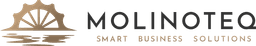 Ein eleganter Schriftzug - in Schwarz: Molinoteq, in Gold: Smart Business Solutions