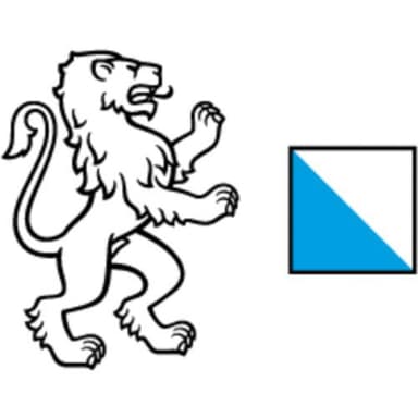 RAV Zurich Logo